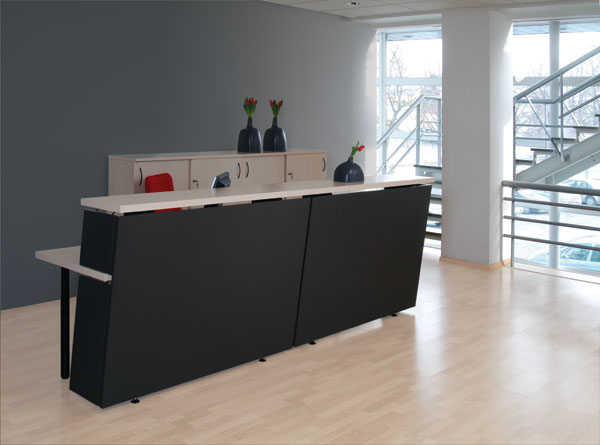 Ресепшен Тера